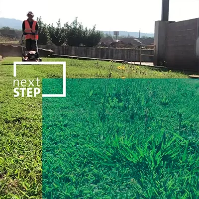 Sustentabilidade Social