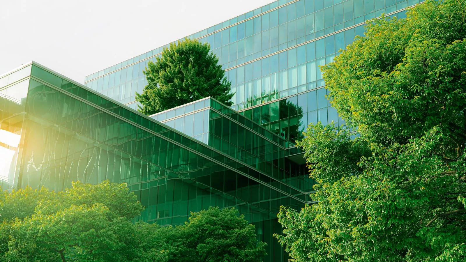 arquitetura verde e sustentável