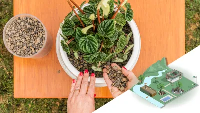 solucoes floricultura