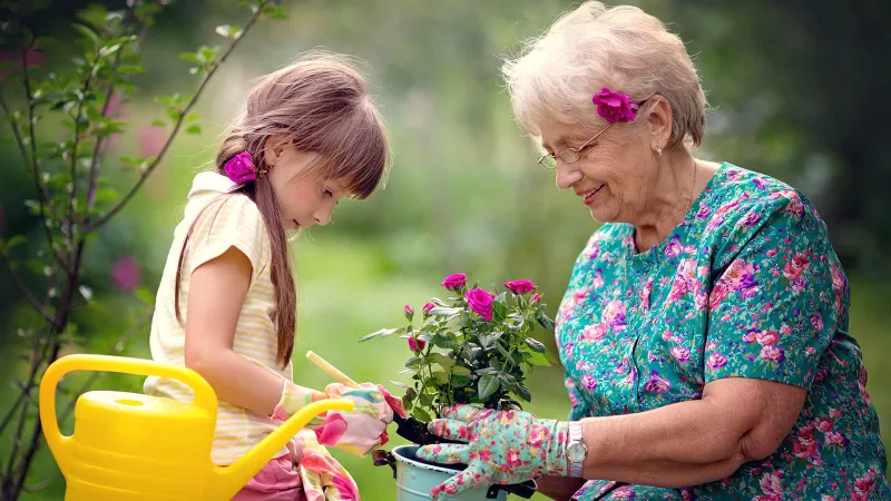 aplicacao em floricultura