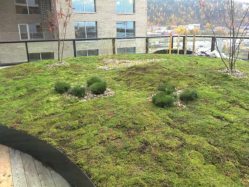 Cobertura ajardinada em Bjørvika, Oslo