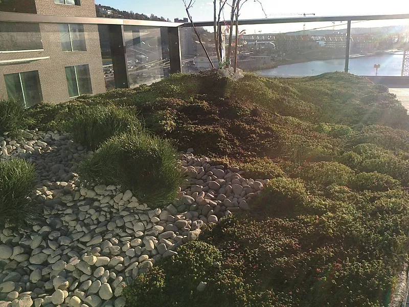Cobertura ajardinada em Bjørvika, Oslo