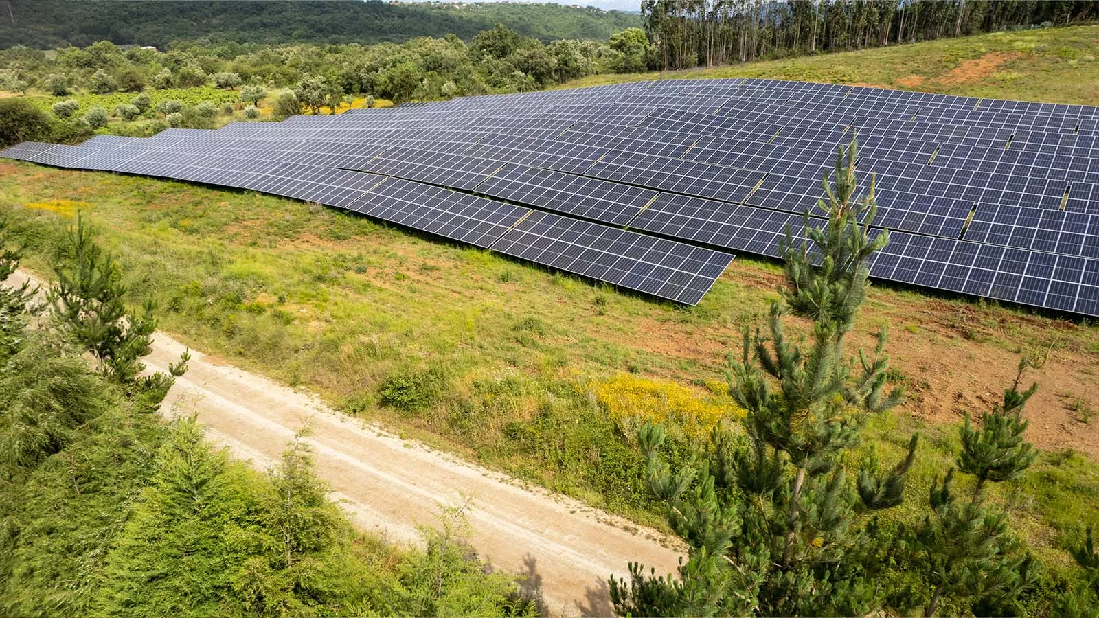 Leca Portugal SA inaugura Parque Fotovoltaico
