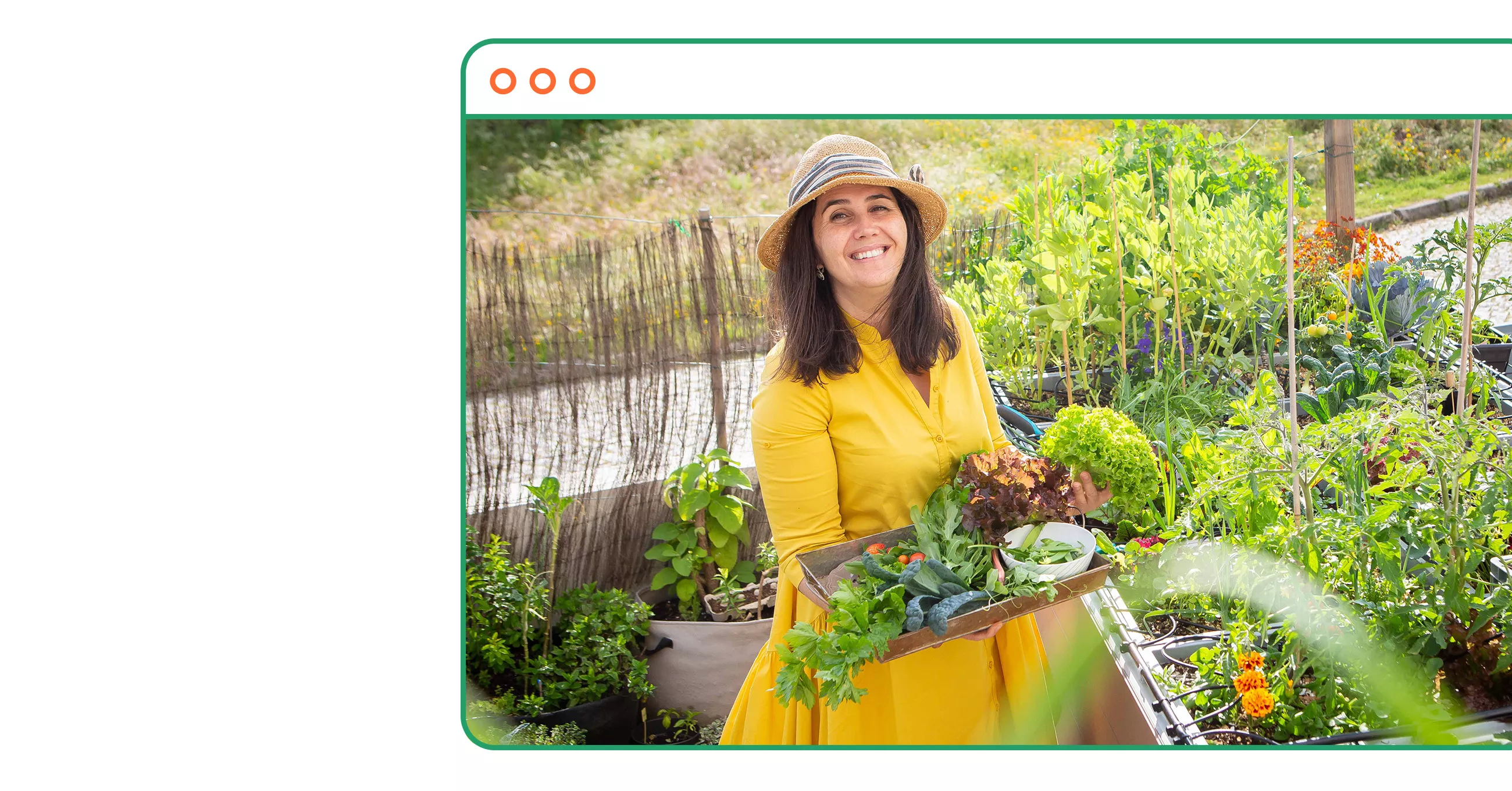 vamos criar um jardim comestível